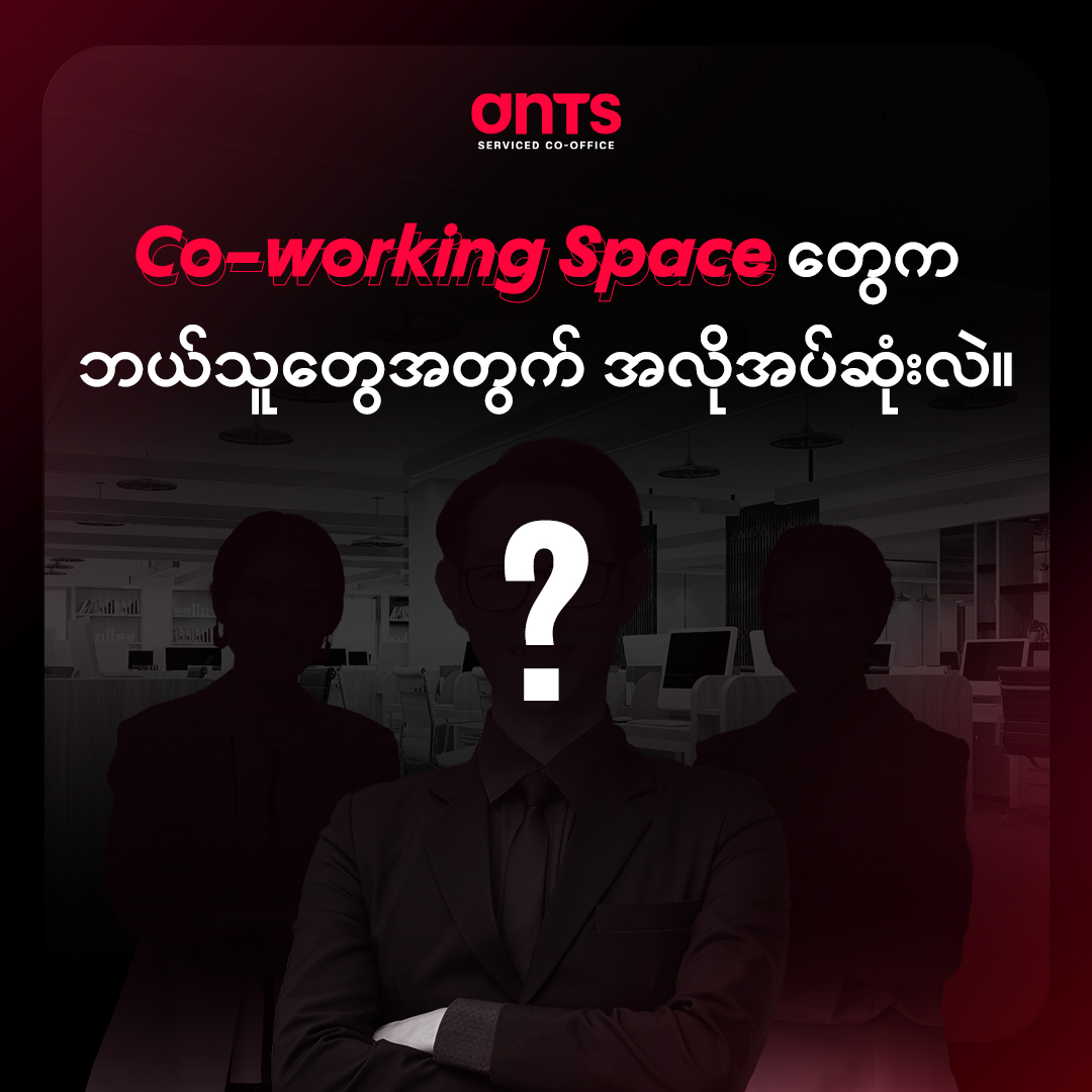 Ants Social Presence 4