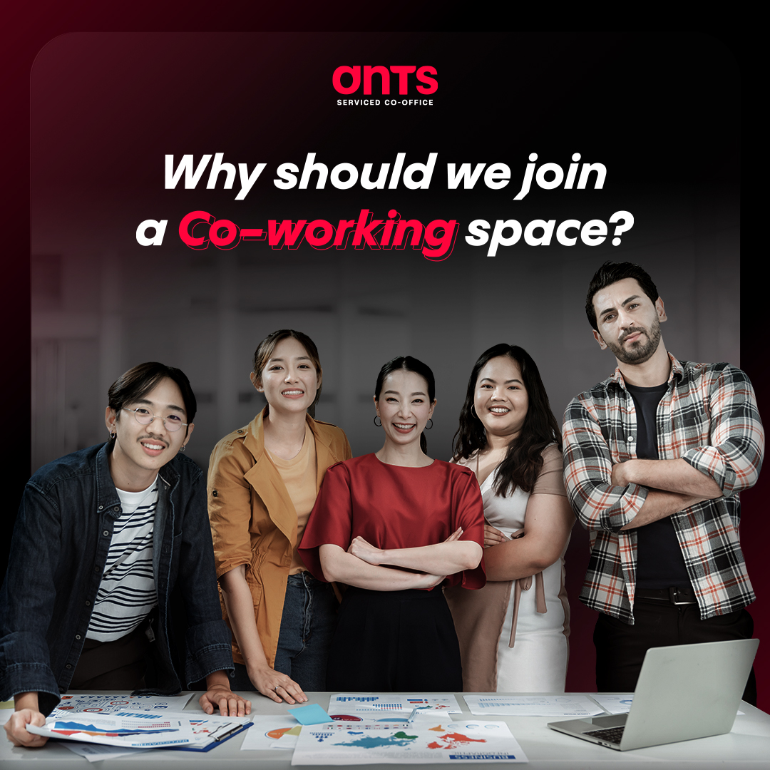 Ants Social Presence 6